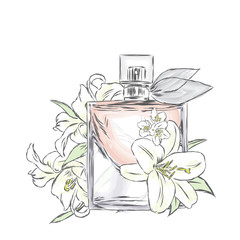 Perfume bottle and flowers. Vector . Print on a postcard, poster or clothing. - 179678365