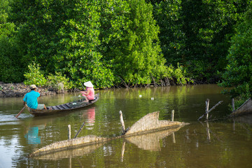 Mangrove forest with fishing boat in Ca Mau province, Mekong delta, south of Vietnam
