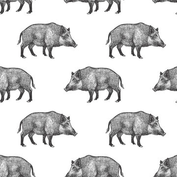 Seamless pattern with boars.