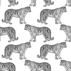 Seamless pattern with tiger.