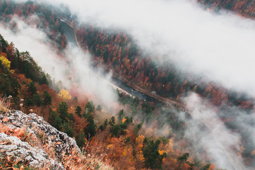 River and forest in the fog view from from the top