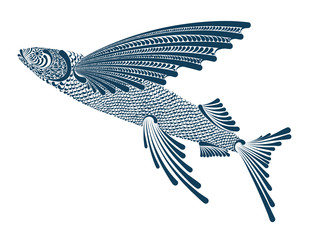 Illustration of a flying fish