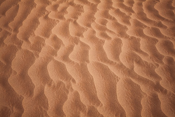 Dune texture