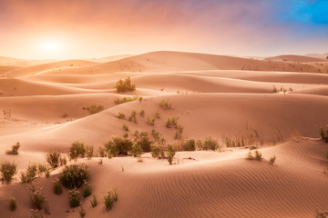 Desert in Xinjiang