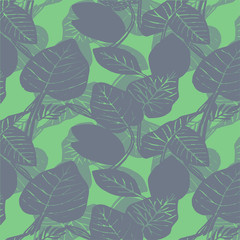 green pattern leaf wallpaper nature