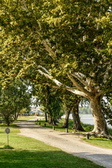 walk on lake shore, Mantua, Italy