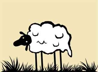 Funny white sheep
