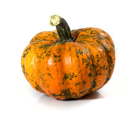 isolated image of pumpkin
