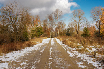 snow-covered road among the trees in late autumn