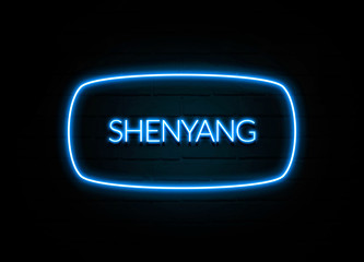 Shenyang  - colorful Neon Sign on brickwall