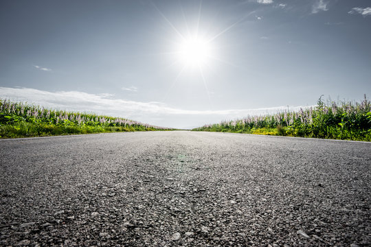 road in grassland