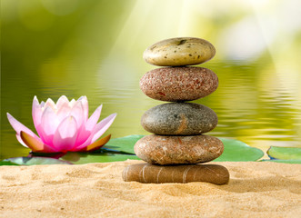 Image of stones and lotus flower on the water close-up,