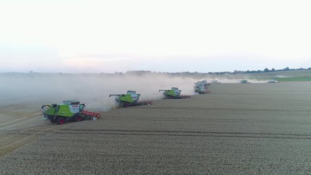twelve harvesters at work