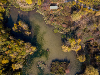 Natura e paesaggio: vista aerea di un bosco e di laghi, foliage di autunno, verde ed alberi in un paesaggio di natura selvaggia. Riserva naturale e capanno di avvistamento