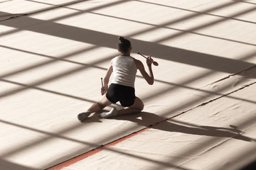 girl on a professional gymnast in the hall