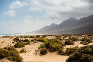 Playa de Cofete, Fuerteventura, Canary Island.