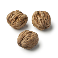  Fresh picked wet walnuts