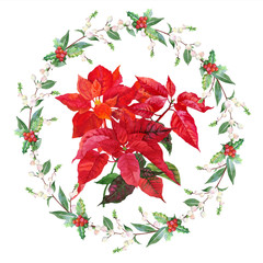 Fototapeta premium Water Poinsettia_3