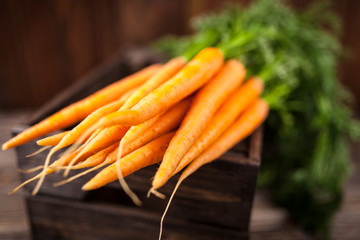 Fresh organic carrot