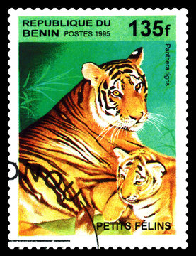 Postage stamp.  Tiger.
