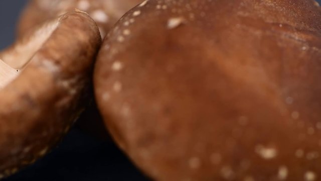 Shiitake mushrooms rotating on a wooden plate as seamless loopable 4K UHD footage