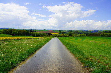 Frühlingslandschaft mit Feldweg bei Raversbeuren im Hunsrück   © beatuerk