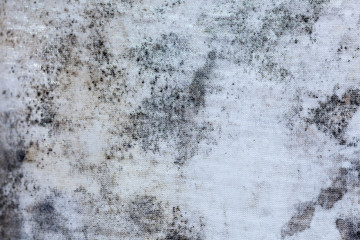 Mold on clothes