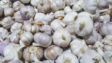 Garlic. Fresh garlic. Garlic. Garlic pattern.Garlic close up.