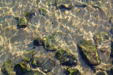 View of the seabed through the purest water.