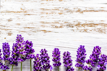 Lavender flowers frame on white wooden background, overhead