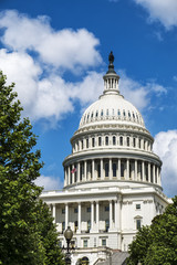 Detail of Capitol building Washington DC USA