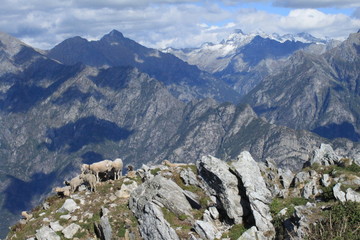 Traumhafte Alpenlandschaft / Blick vom Monte Berlinghera zu den Gipfeln der Bernina-Alpen