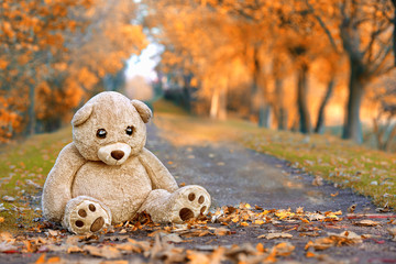 großer Teddybaär im Herbstpark