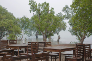 Obraz premium thickets of mangrove trees and the empty coffee shop on a misty sea shore in Thailand