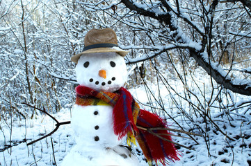 A cheerful snowman with a hat and scarf. Snowman in the park