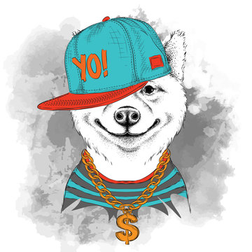 The poster of the sakita inu dog portrait in hip-hop hat. Vector illustration.