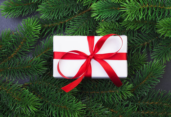 Christmas tree branch and gift
