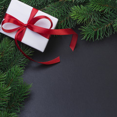 Christmas tree branch and gift