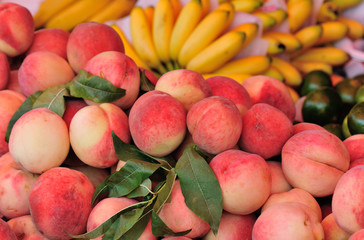fruit market