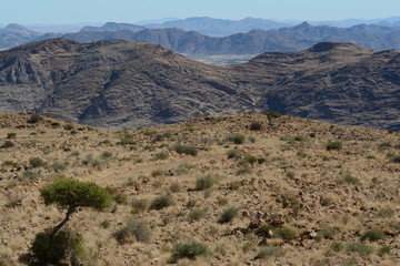 Fototapeta na wymiar Namibia Landscape