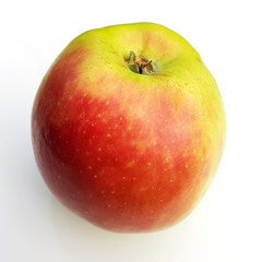 Buhrfeinds Boiken, Alte Apfelsorten, Apfel, Malus, domestica