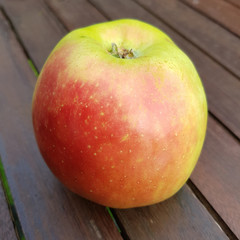 Buhrfeinds Boiken, Alte Apfelsorten, Apfel, Malus, domestica
