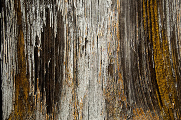 Old cracked paint pattern on wooden background. Peeling paint. 