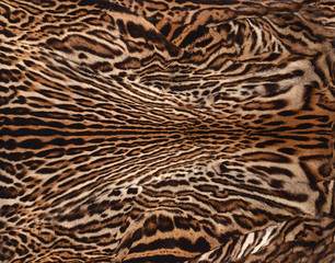 leopard fur background