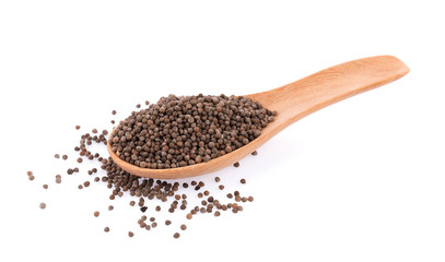 Perilla herb seed on white background