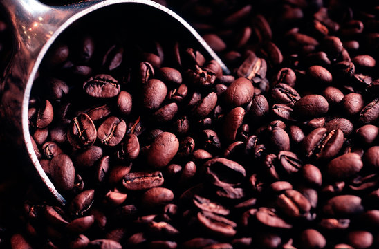 Coffee beans from high quality coffee shop, France, Paris, 9th district