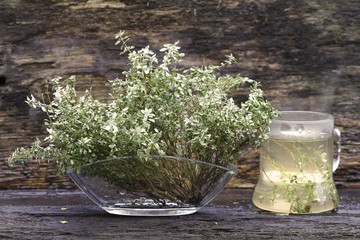 Pflanzenheilkunde mit Thymian