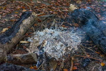 hiking fire place bbq in forest with small fire and ash