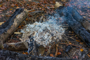 hiking fire place bbq in forest with small fire and ash