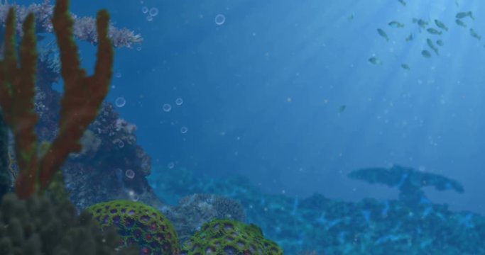 Blue Ocean Reef and Fish